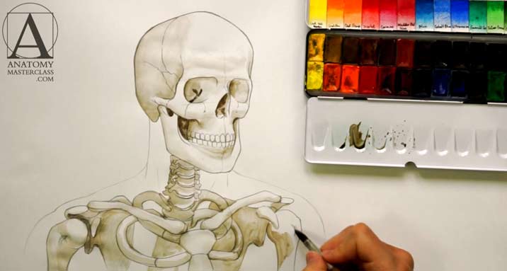 Anatomy Master Class