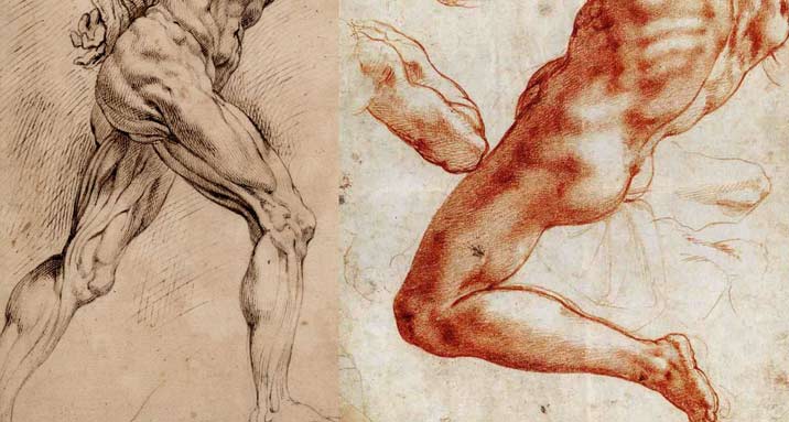 Anatomy Master Class