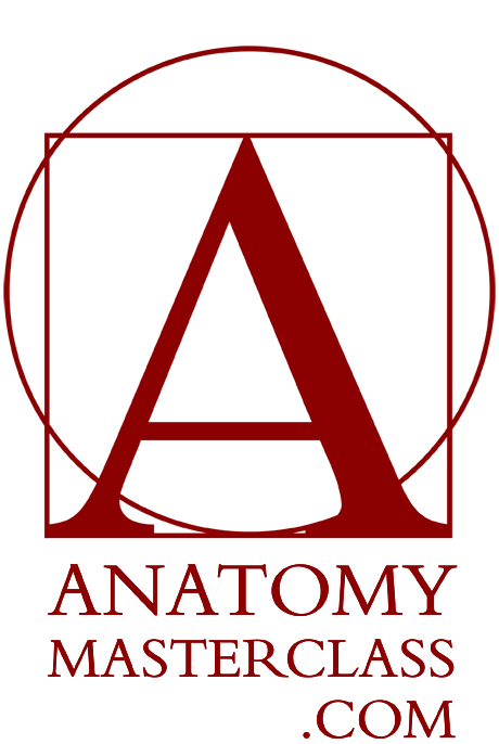 Anatomy Master Class